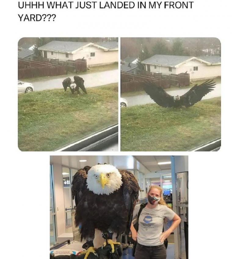 482f64855261dc9b7d9b8235b6b2f7d7_1746684021_6661.jpg