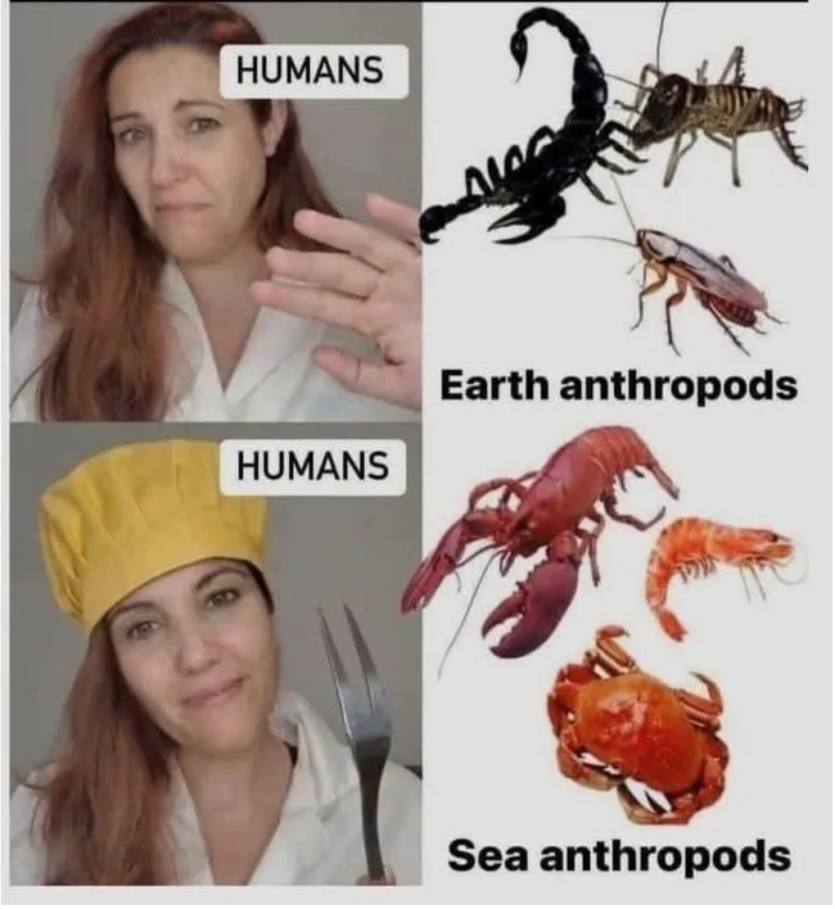 482f64855261dc9b7d9b8235b6b2f7d7_1746676778_063.jpg