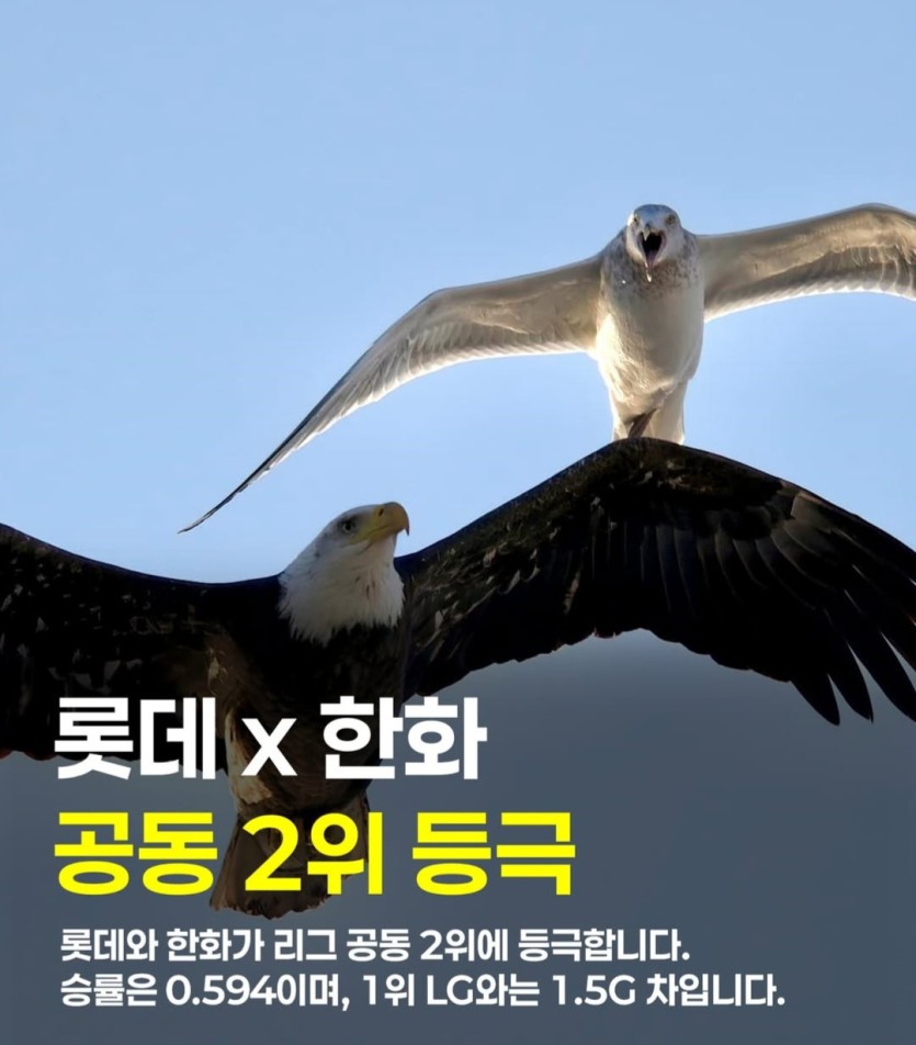 b94a8e7ce0aa526fd1ad93f4dfe25f5e_1746118166_6253.jpg